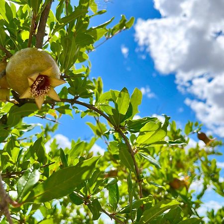 شقة Podere Poggio Salto بيينْسا المظهر الخارجي الصورة