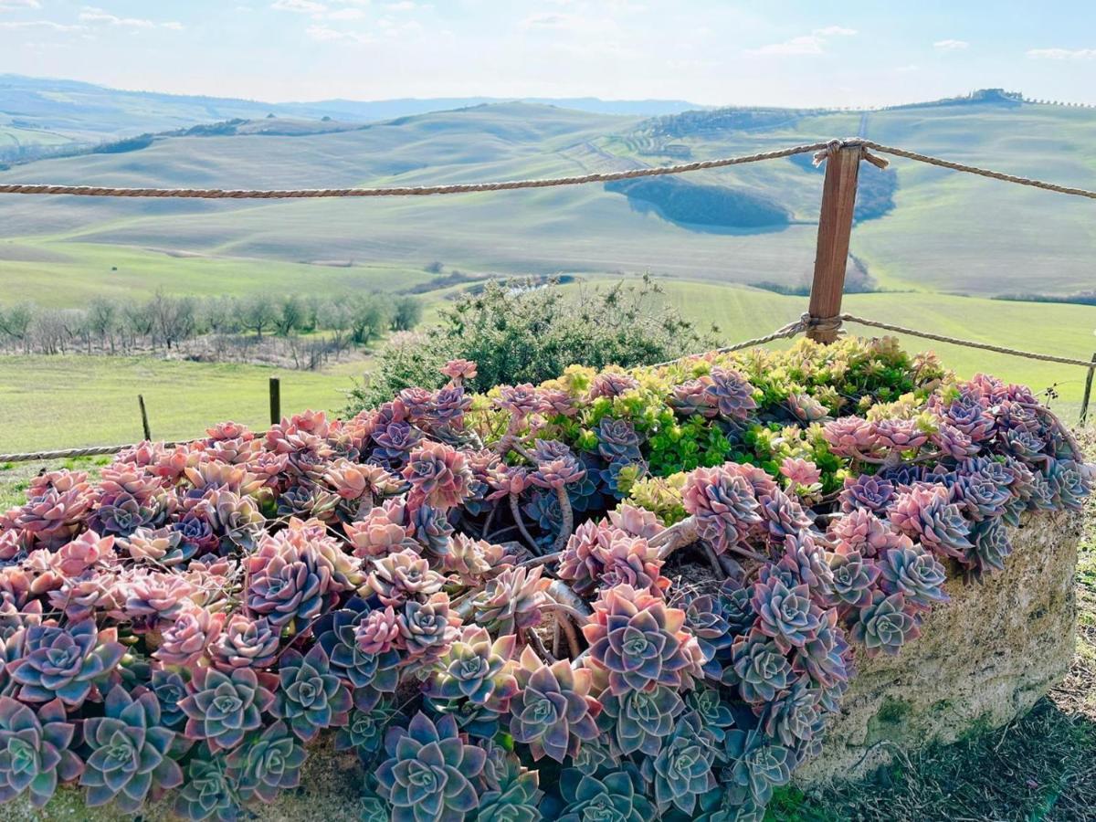 شقة Podere Poggio Salto بيينْسا المظهر الخارجي الصورة