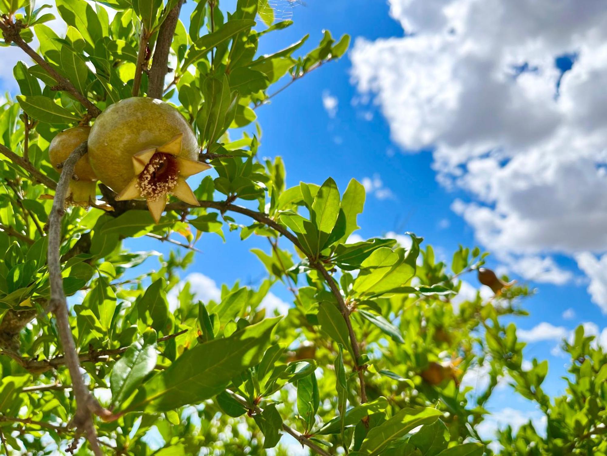 شقة Podere Poggio Salto بيينْسا المظهر الخارجي الصورة