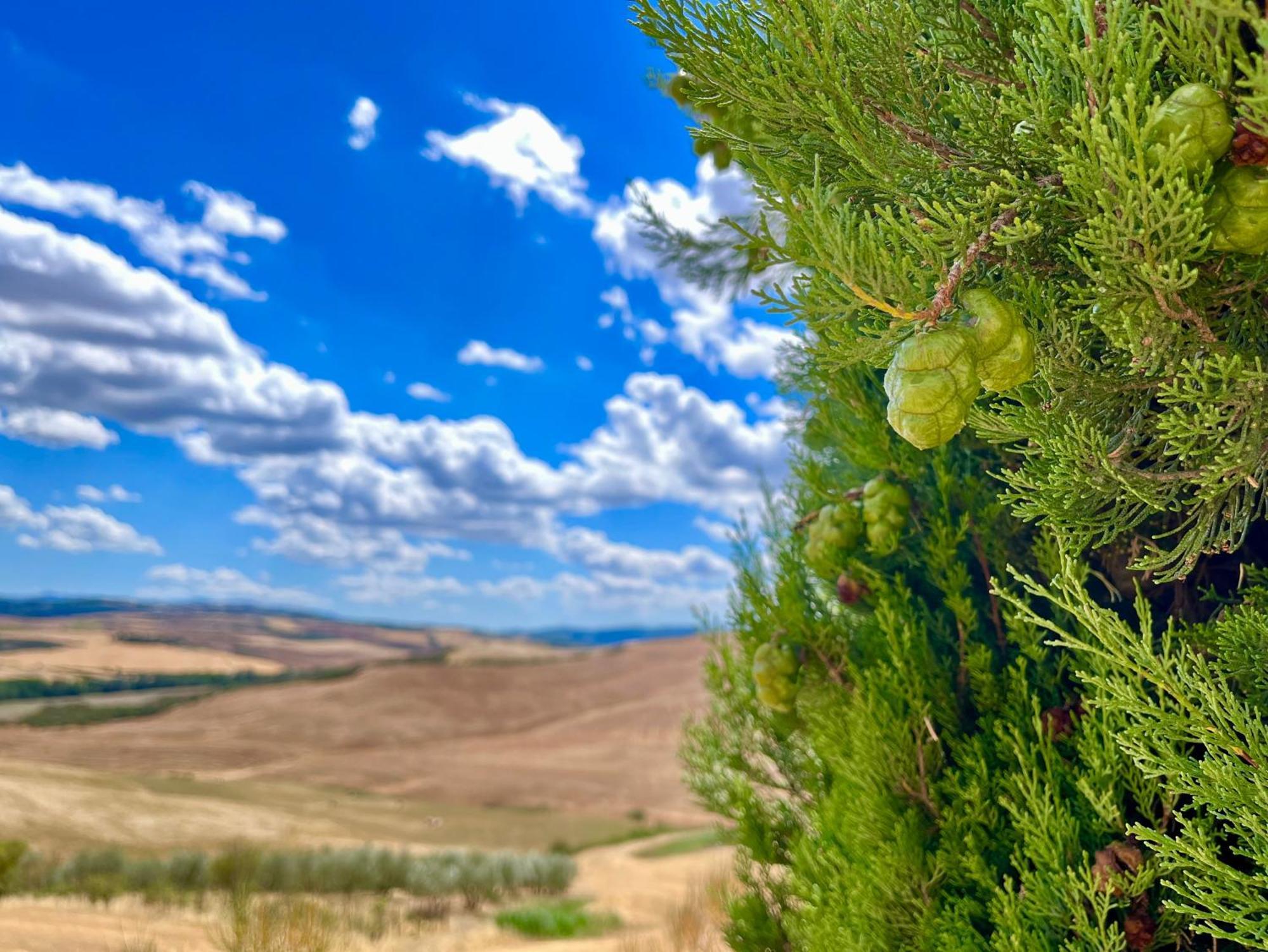 شقة Podere Poggio Salto بيينْسا المظهر الخارجي الصورة